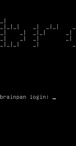 Brainpan 1 screenshot