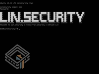Lin.Security 1 screenshot
