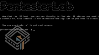 Pentester Lab CVE-2014-6271: ShellShock screenshot