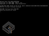 Damn Vulnerable Linux (DVL) 1.1 (Blackhat Edition) screenshot