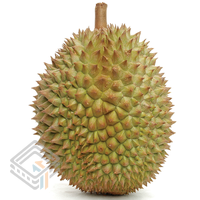 Durian 1 screenshot