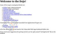 Web Security Dojo 2 screenshot