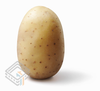 Potato (SunCSR) 1 screenshot