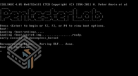 Pentester Lab CVE-2014-6271: ShellShock screenshot