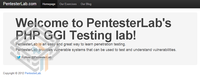 Pentester Lab CVE-2012-1823: PHP CGI screenshot